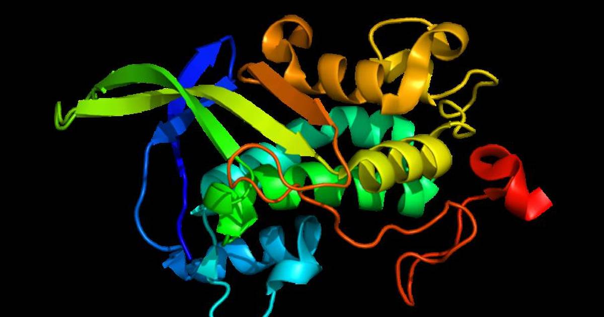 Using Bioinformatics Tools and Databases for Drug Development (Hands-on Exploration)