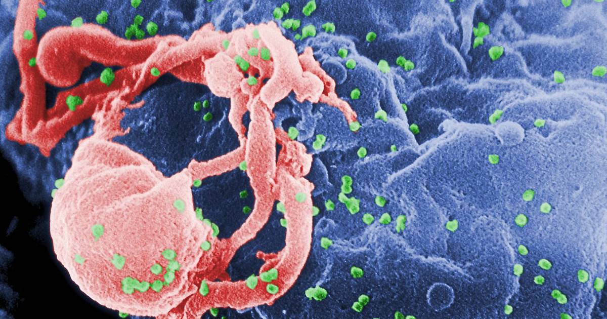 Bioethics in Gene Editing