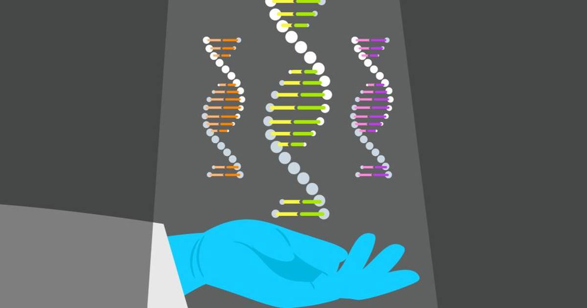 How Can We Begin to Understand Human Genetic Diversity?