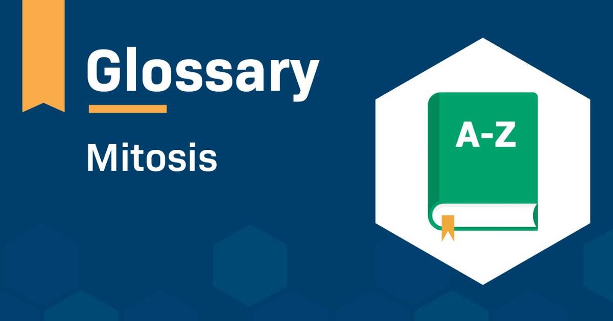 Glossary: Mitosis