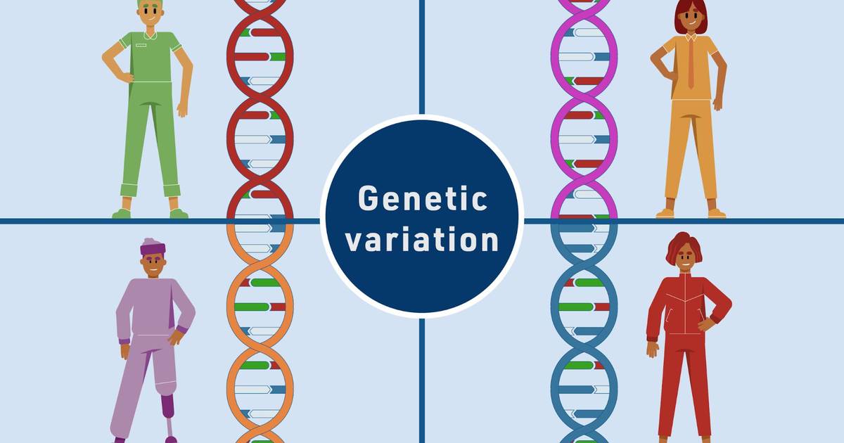 The Jackson Laboratory Teaching the Genome Generation (TtGG™): Human Genetic Variation Virtual Lab Curriculum