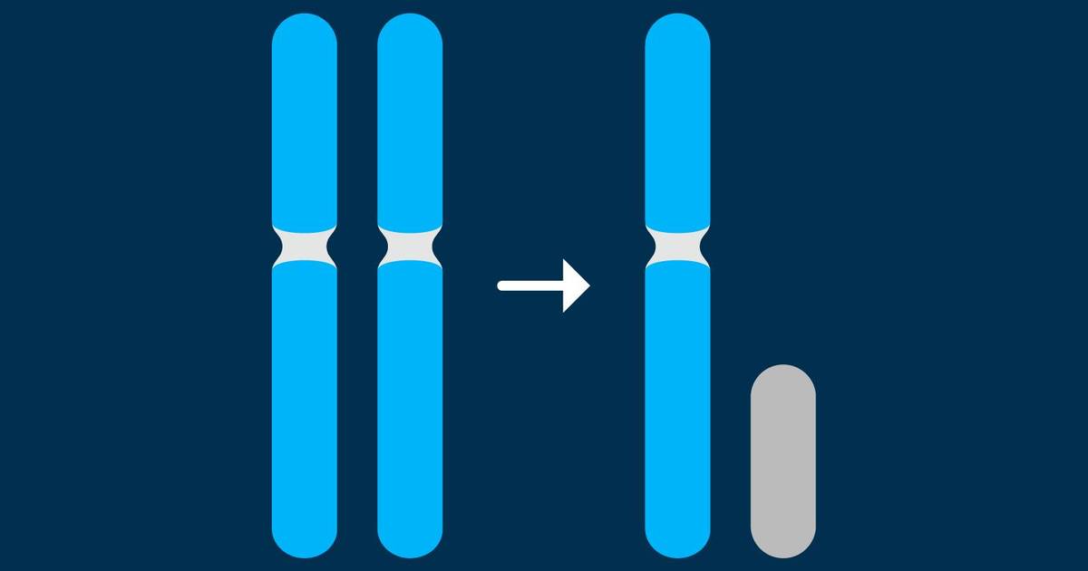 X-chromosome Inactivation