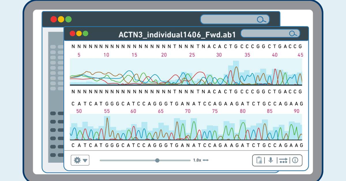 Sanger Sequencing
