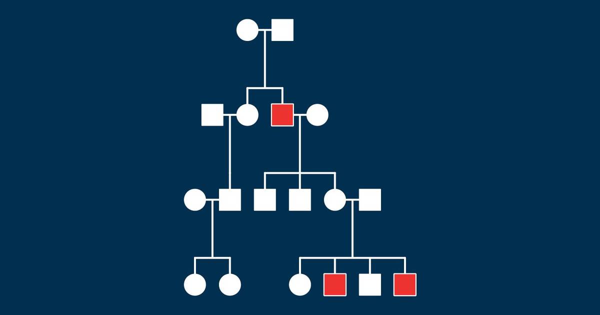 X-linked Recessive Inheritance