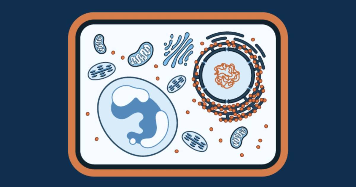 Introduction to Cell Theory