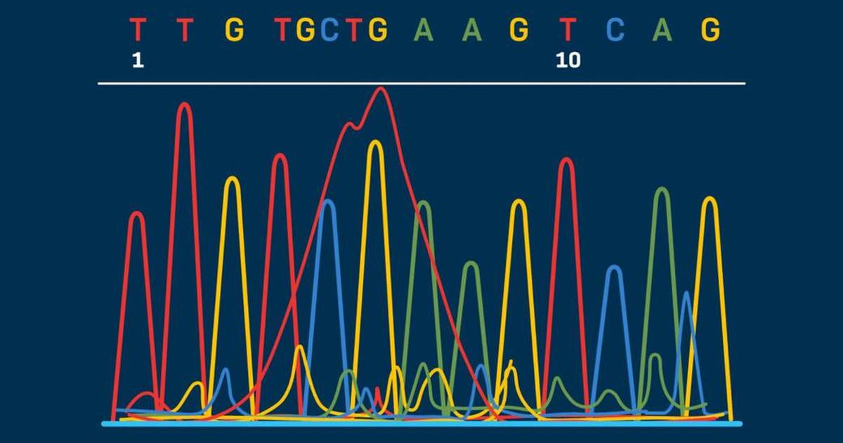 How to Read a DNA Sequencing Chromatogram