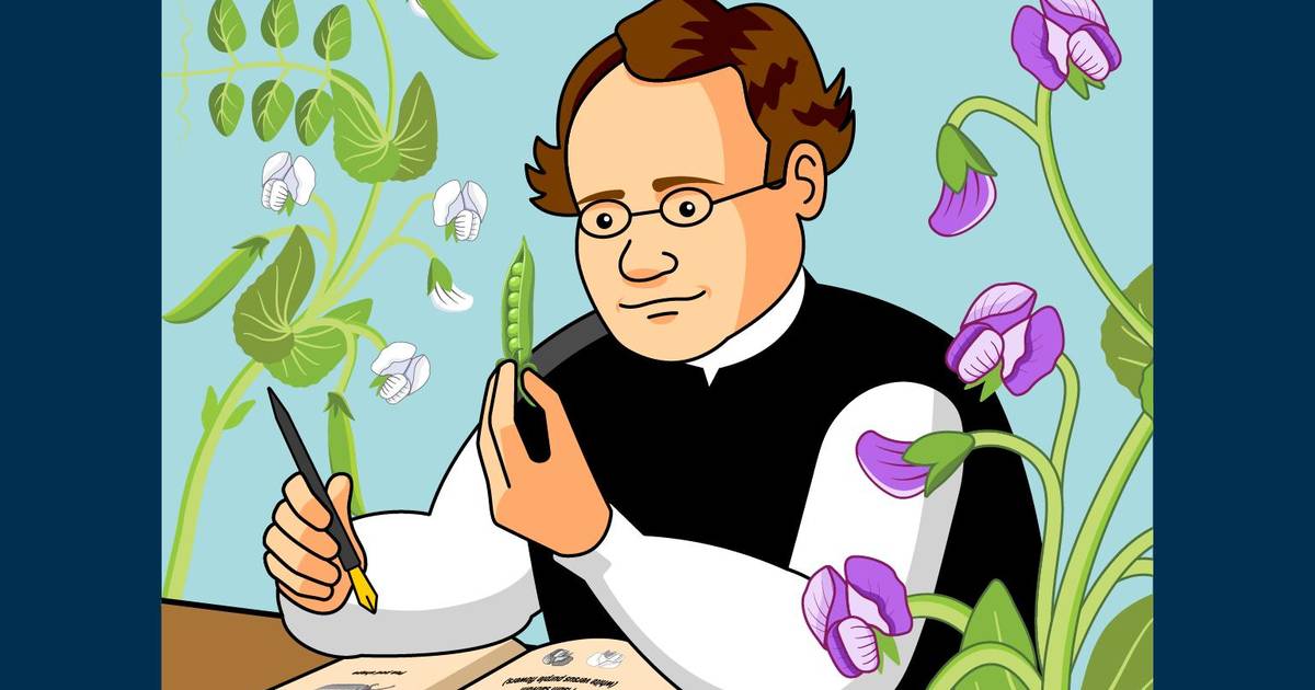Gregor Mendel Discovered the Basic Principles of Heredity