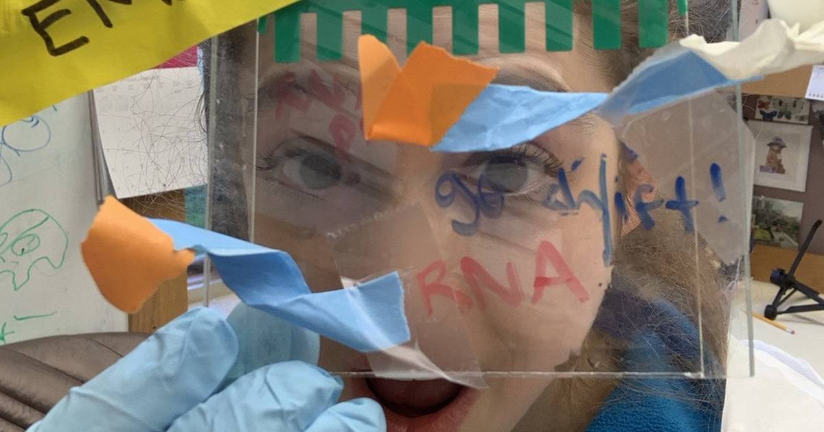 EMSA (Gel Shift Assay) – Electrophoretic Mobility Shift Assay