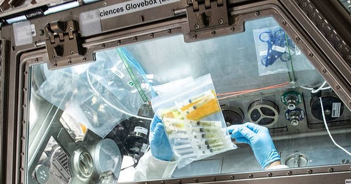 Microscopic Superheroes to Help Protect Astronaut Health in Space