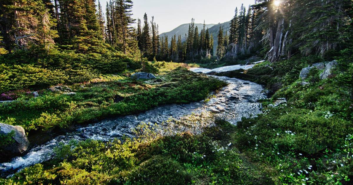 Streamflow and the Water Cycle