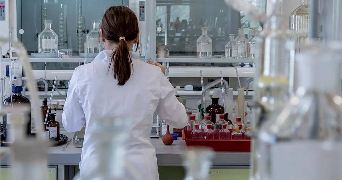 Engineering the Future of Food: Interview with Rachel Valenzuela