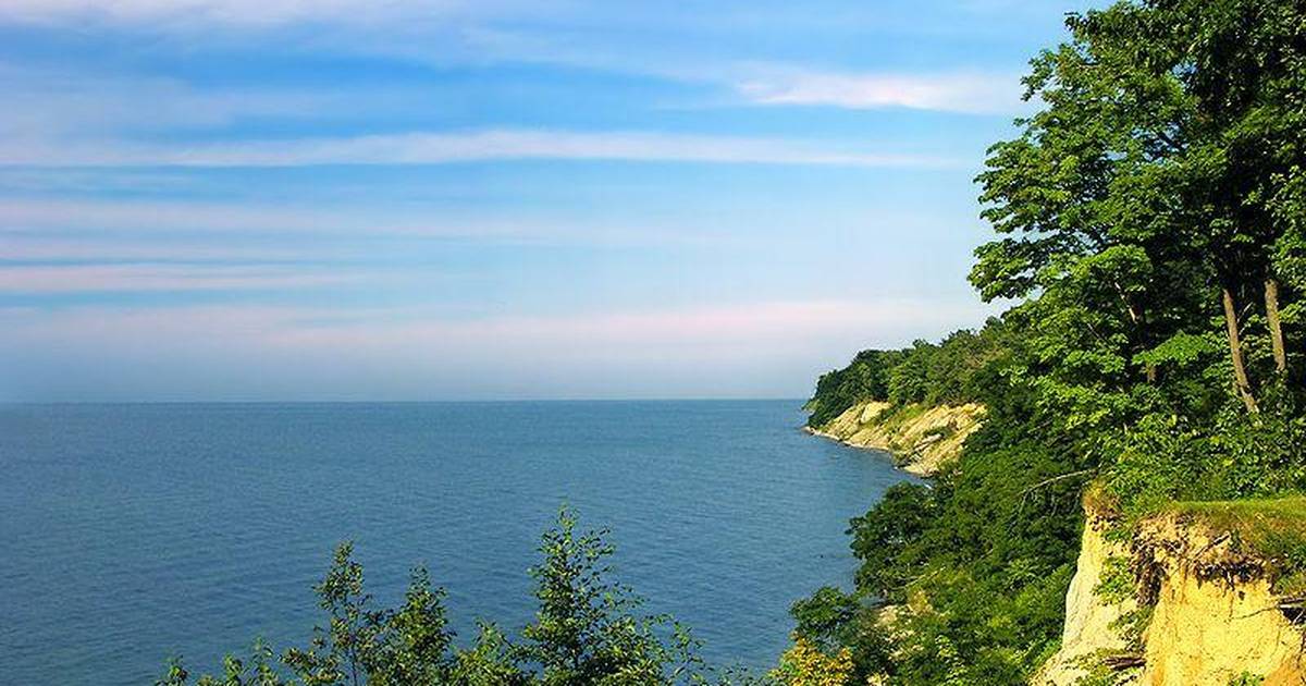 Algal Blooms and Trophic Dynamics in Aquatic Ecosystems