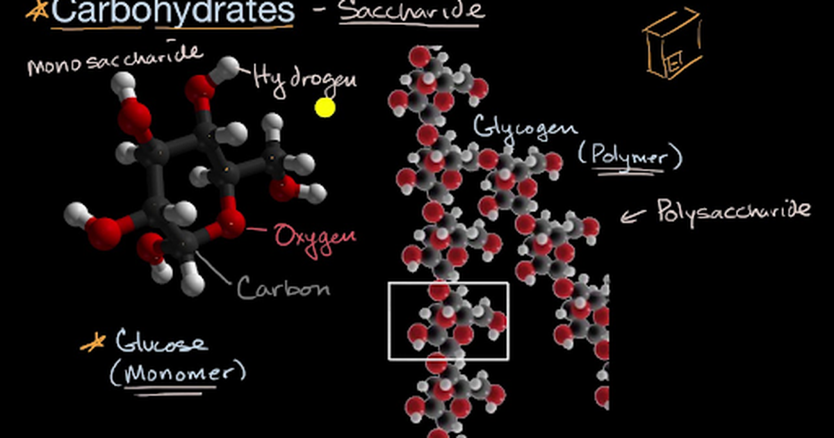 Introduction to Carbohydrates