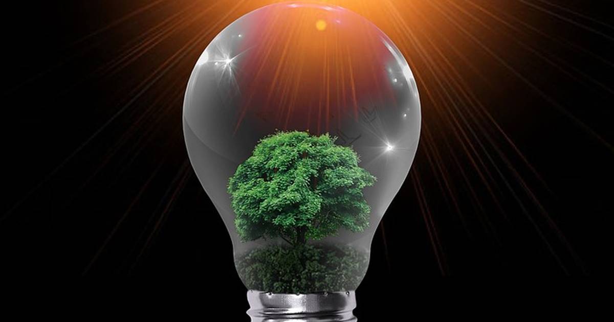 Renewable Energy: Clean Tech Solutions | Vocabulary for Students