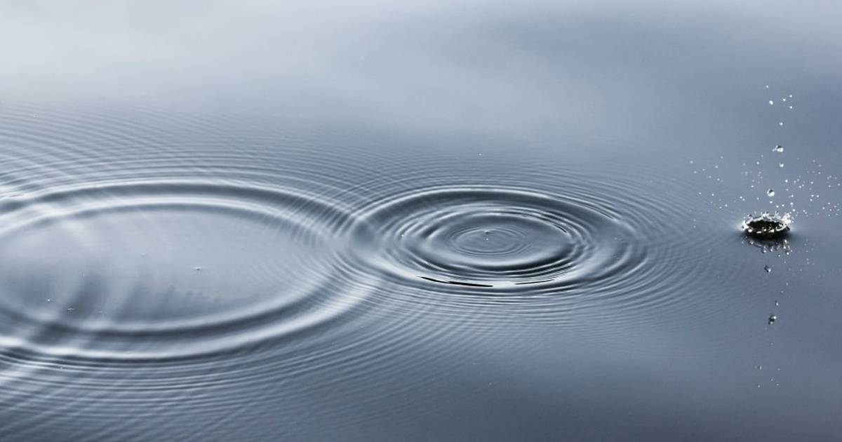 Ripples in the Water: Exploring Wave Energy and Dynamics