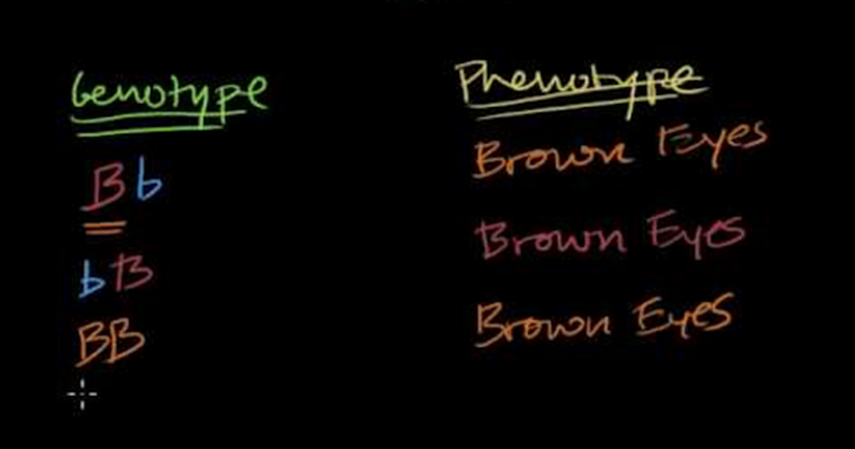 Introduction to Heredity