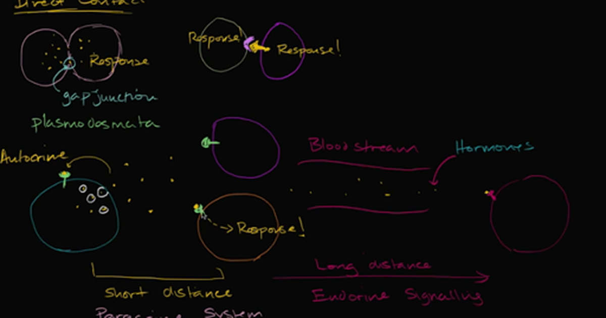 Overview of Cell Signaling