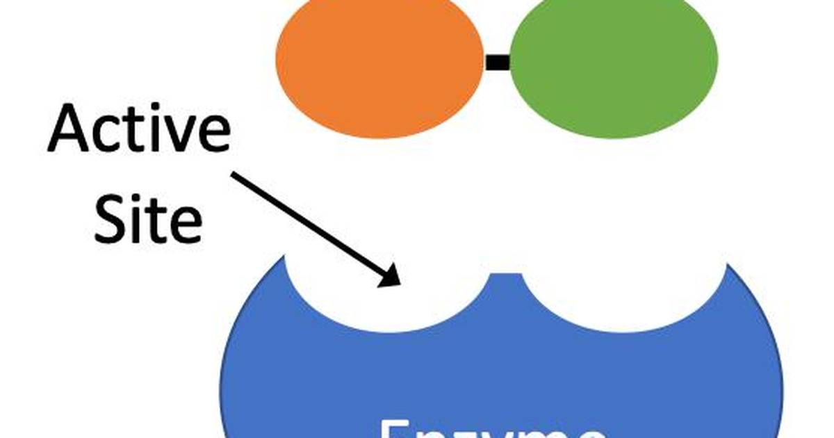 How Catalysts and Enzymes Change Chemical Reaction Rates