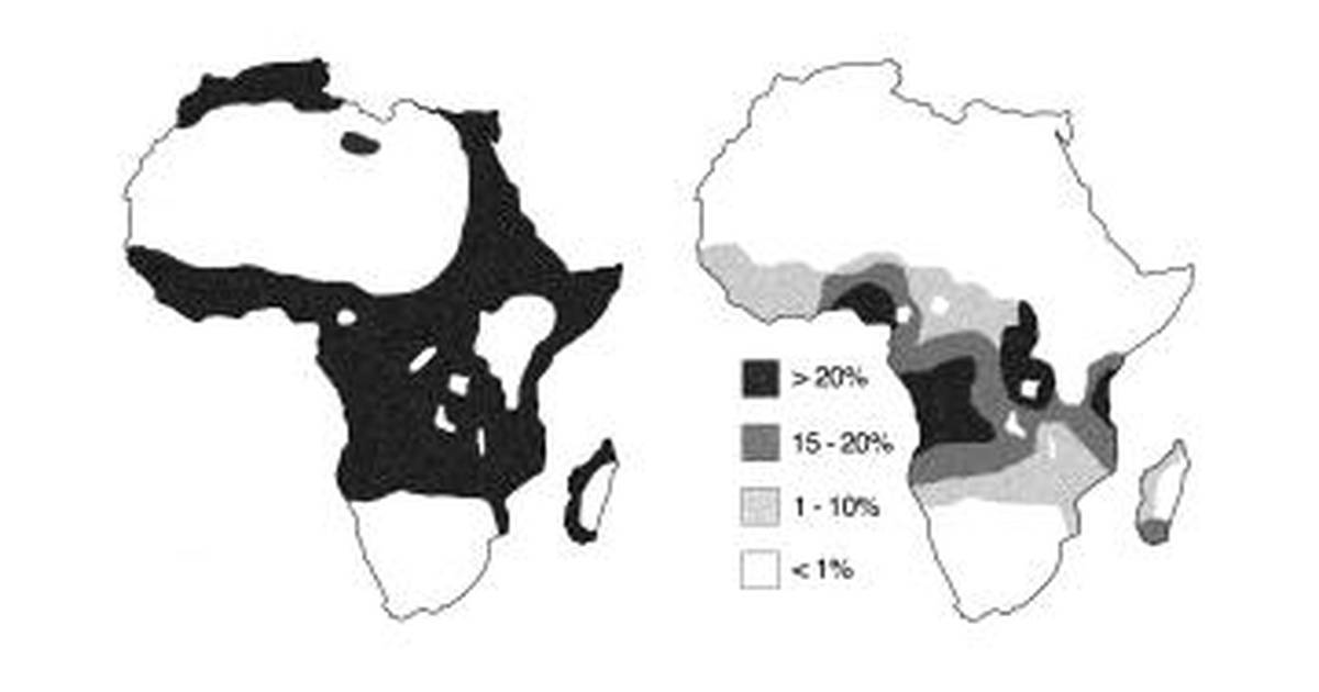 From Gene To Disease: Sickle Cell Anemia