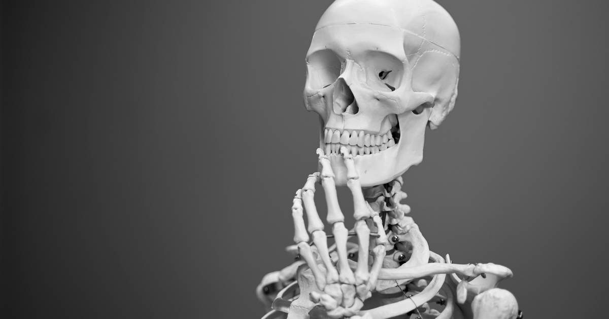 Understanding the Skeletal System: From Anatomy to Function