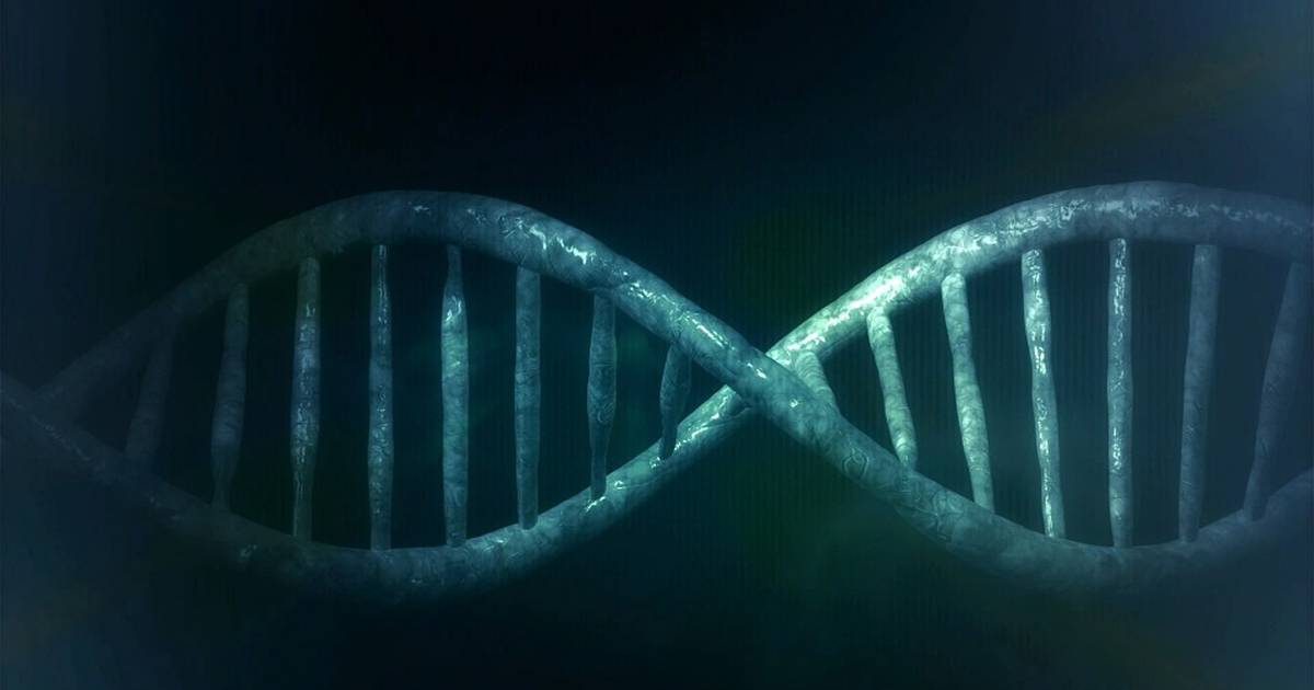 Frameshift and In-Frame Mutations