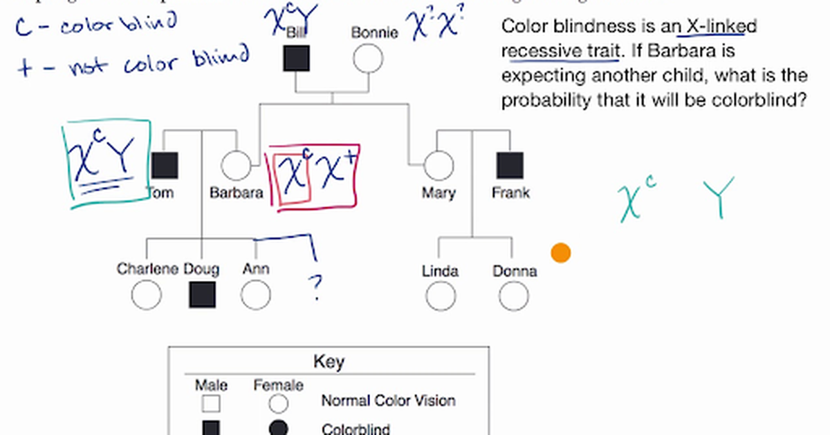 Pedigree for Determining Probability of Exhibiting Sex-Linked Recessive Trait
