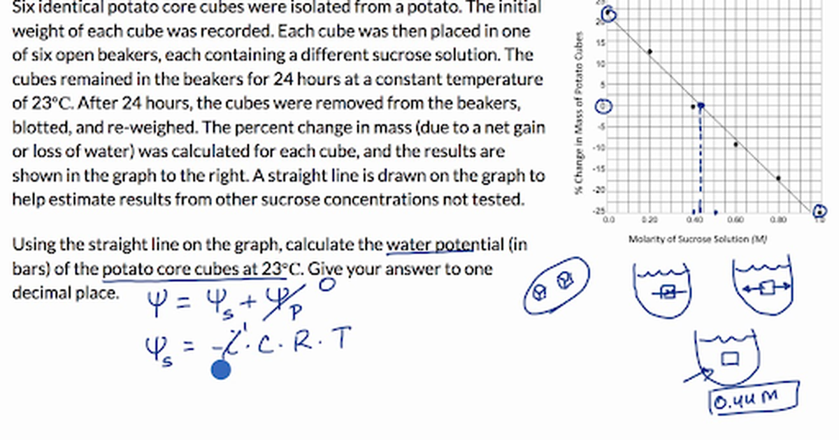 Water Potential Example