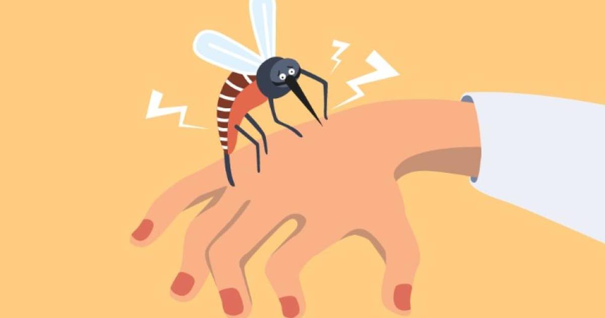 How Can We Use Genetic Engineering to Get Rid of Malaria for Good?