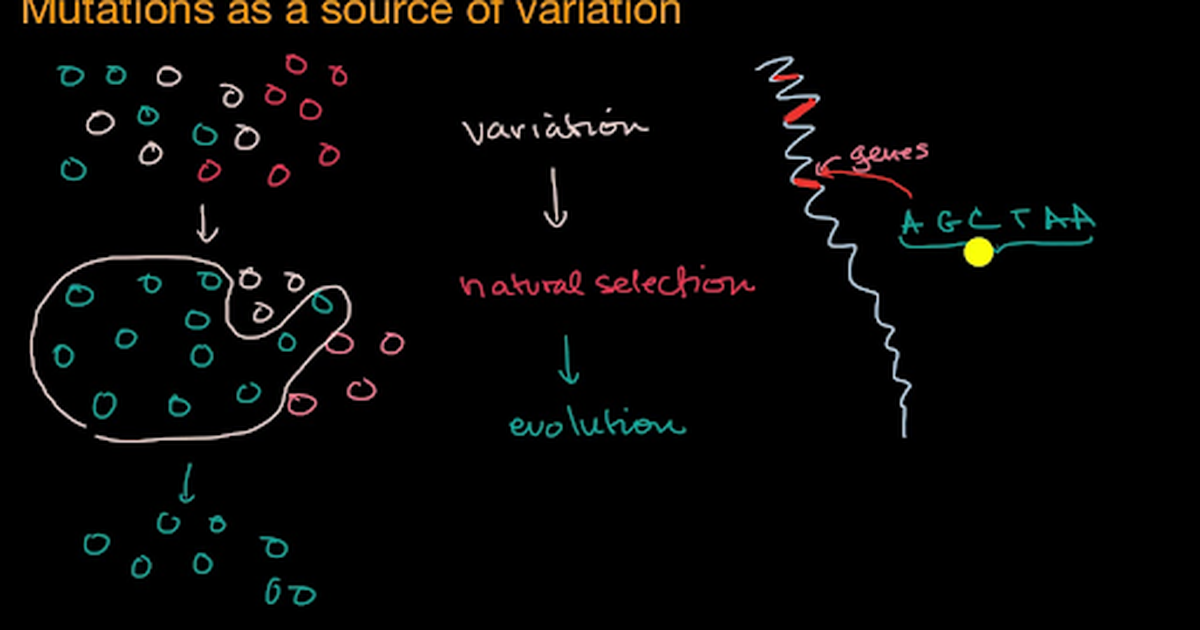 Mutation as a Source of Variation
