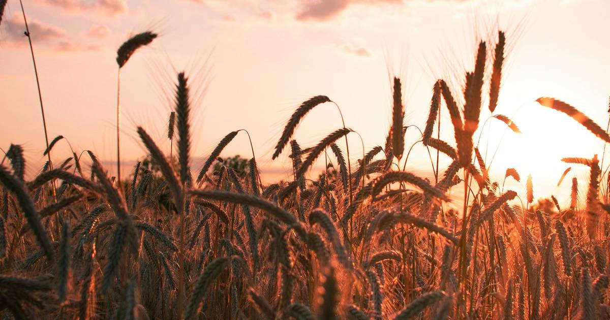 Climate Change's Impact on Production