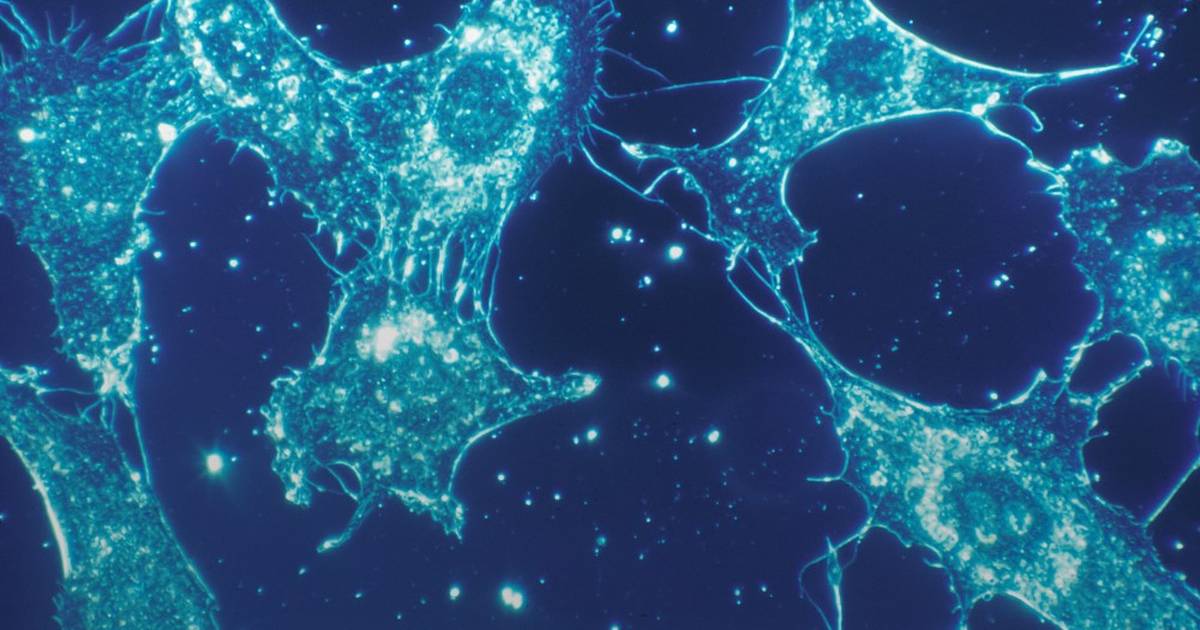 What Is ATP in Biology?