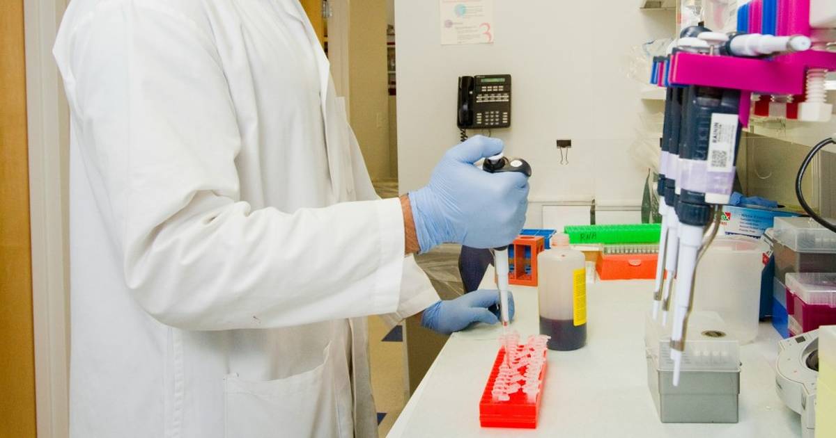 Introduction to STRs and DNA Fingerprinting: Forensic Uses for DNA
