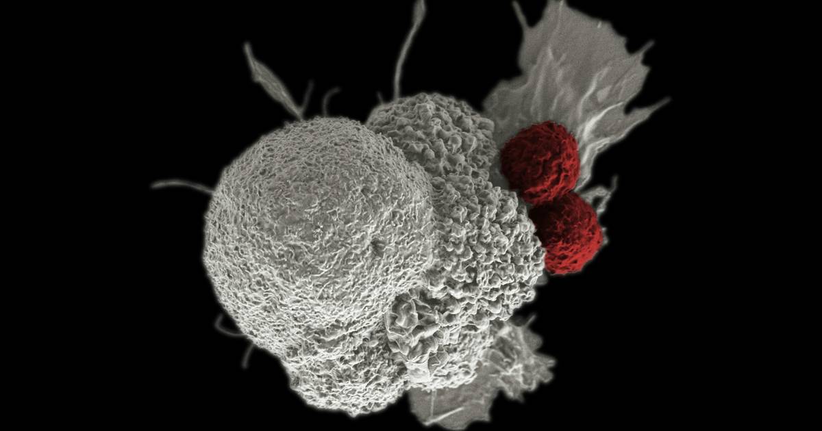 Intro to Cancer Treatments