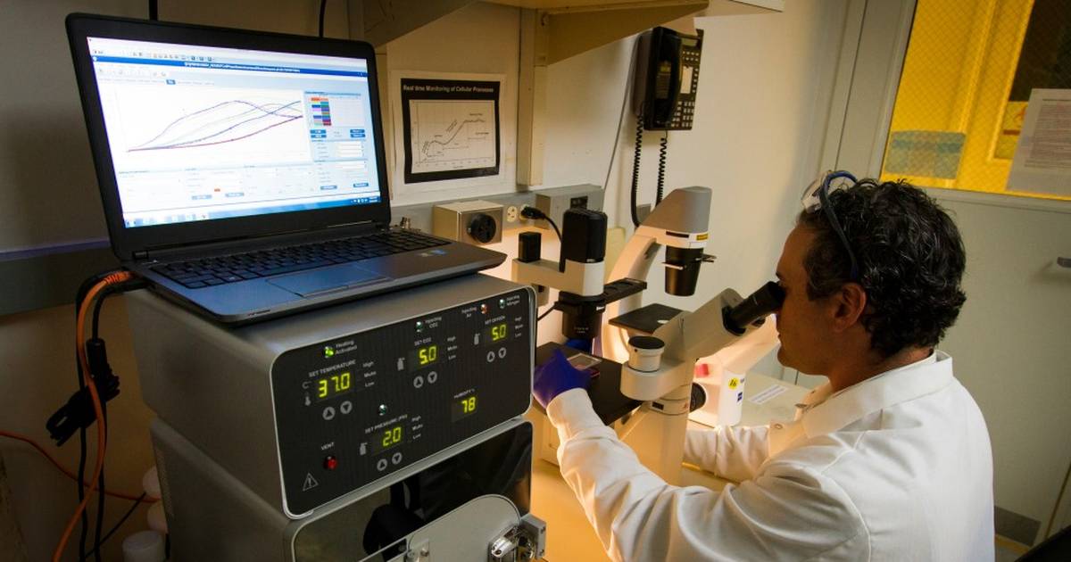 Wolbachia and Reproductive Parasitism