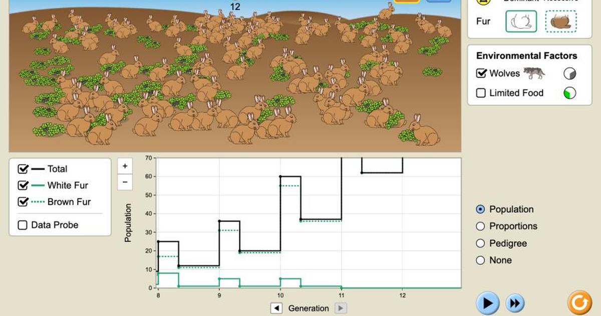 Natural Selection Simulation