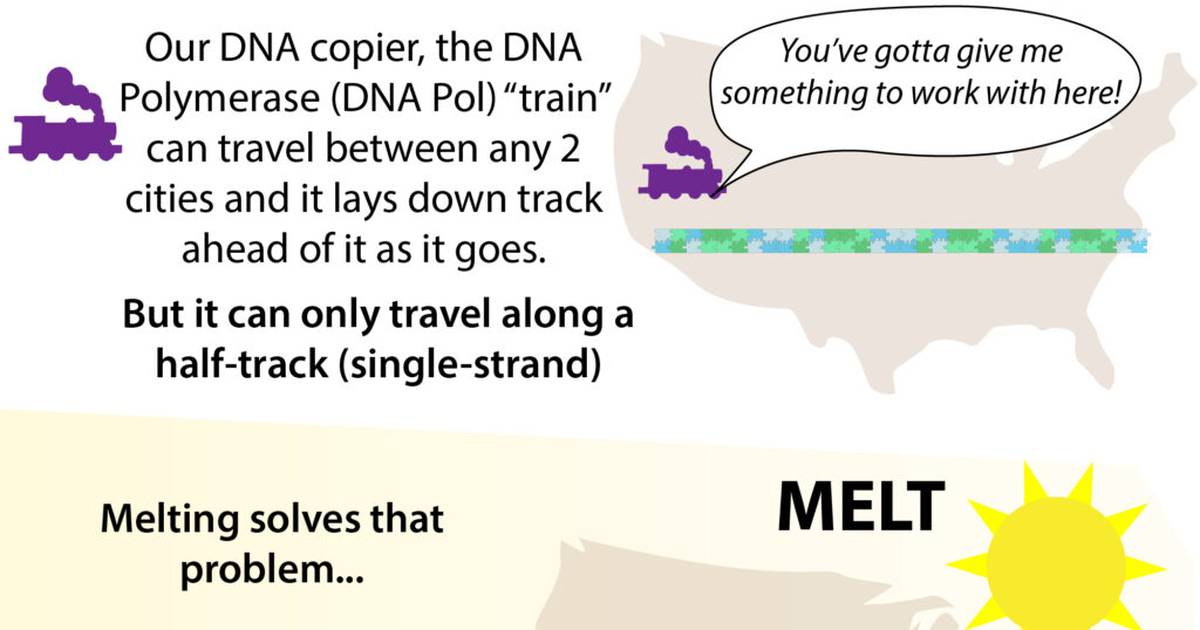 Infographic: All Aboard the PCR Train