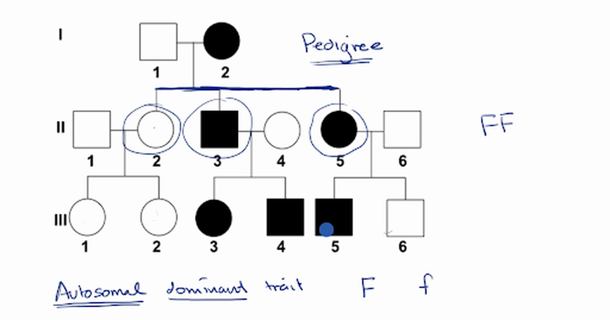 Pedigrees