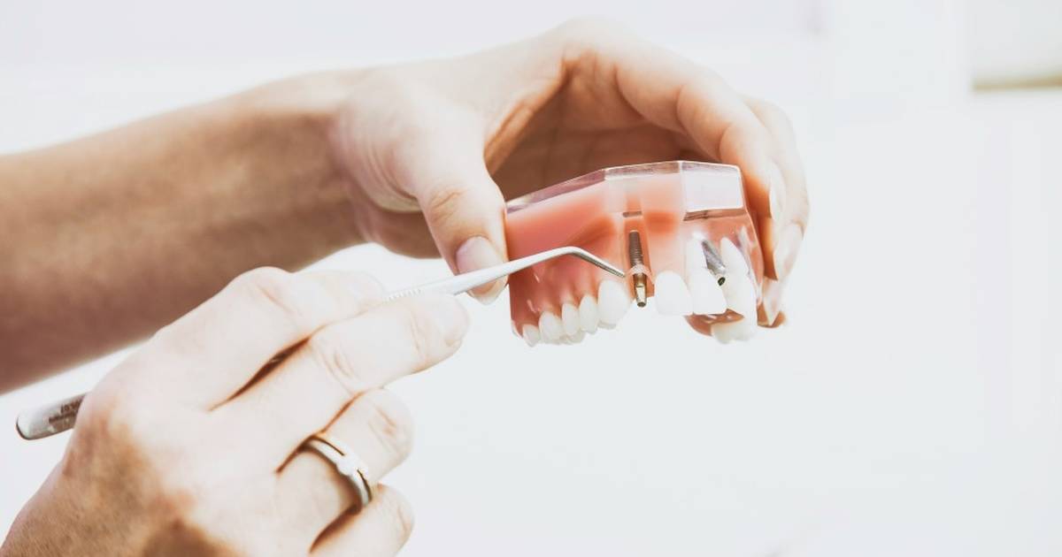 Oral Health: Anatomy, Hygiene, Health Equity, and Careers