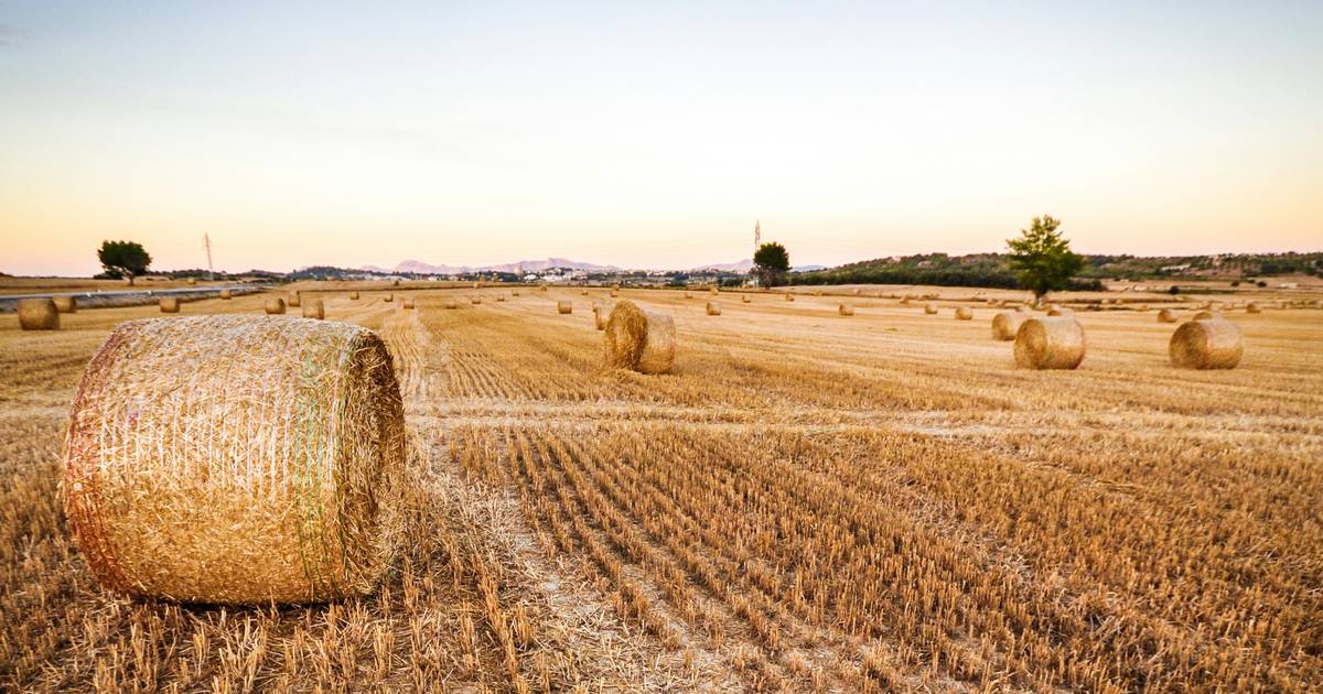 Farmers and Climate Change