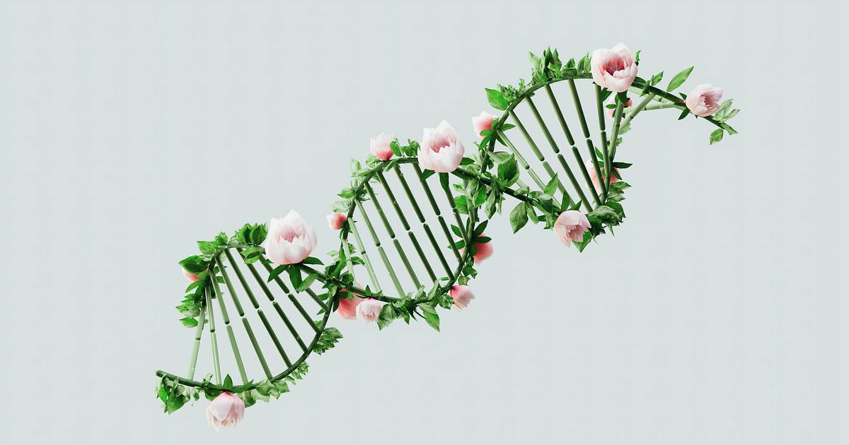 Understanding DNA and RNA