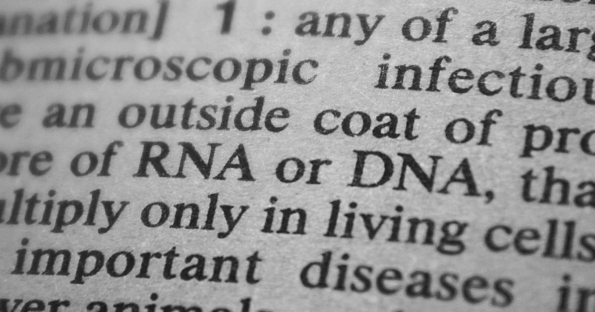 RNA: The Master Builder Turning DNA Blueprints into Proteins