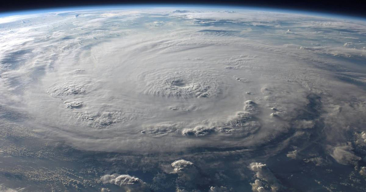 Worksheet: Hurricanes in Florida - What’s the Lingo?