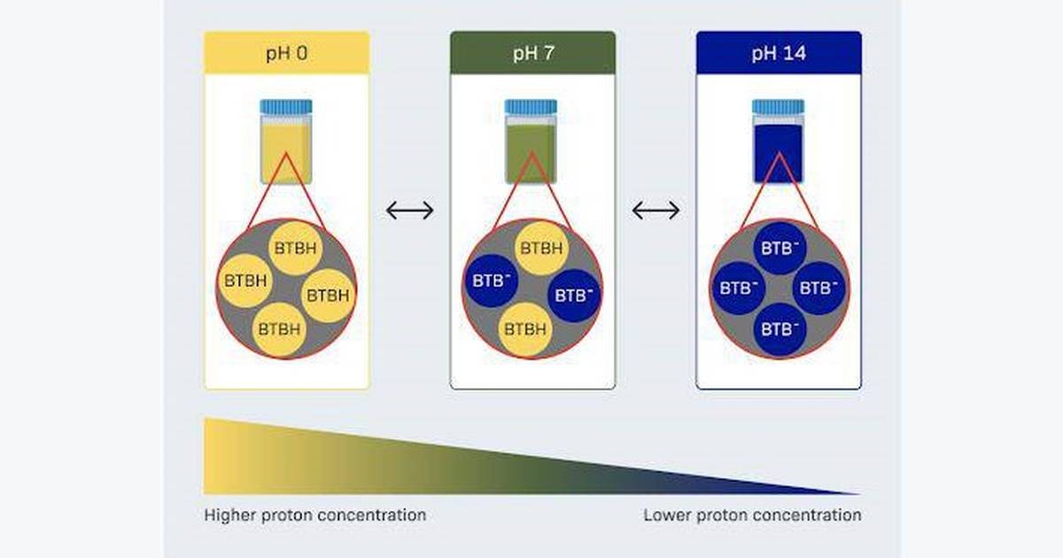 Depending on pH, Bromothymol Blue Displays a Range of Different Colors