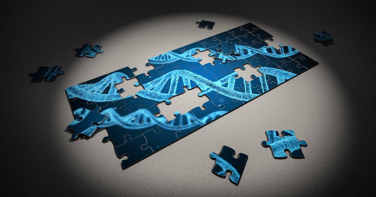 Exploring Our DNA