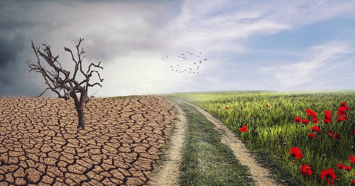 Student Journal: Climate Change
