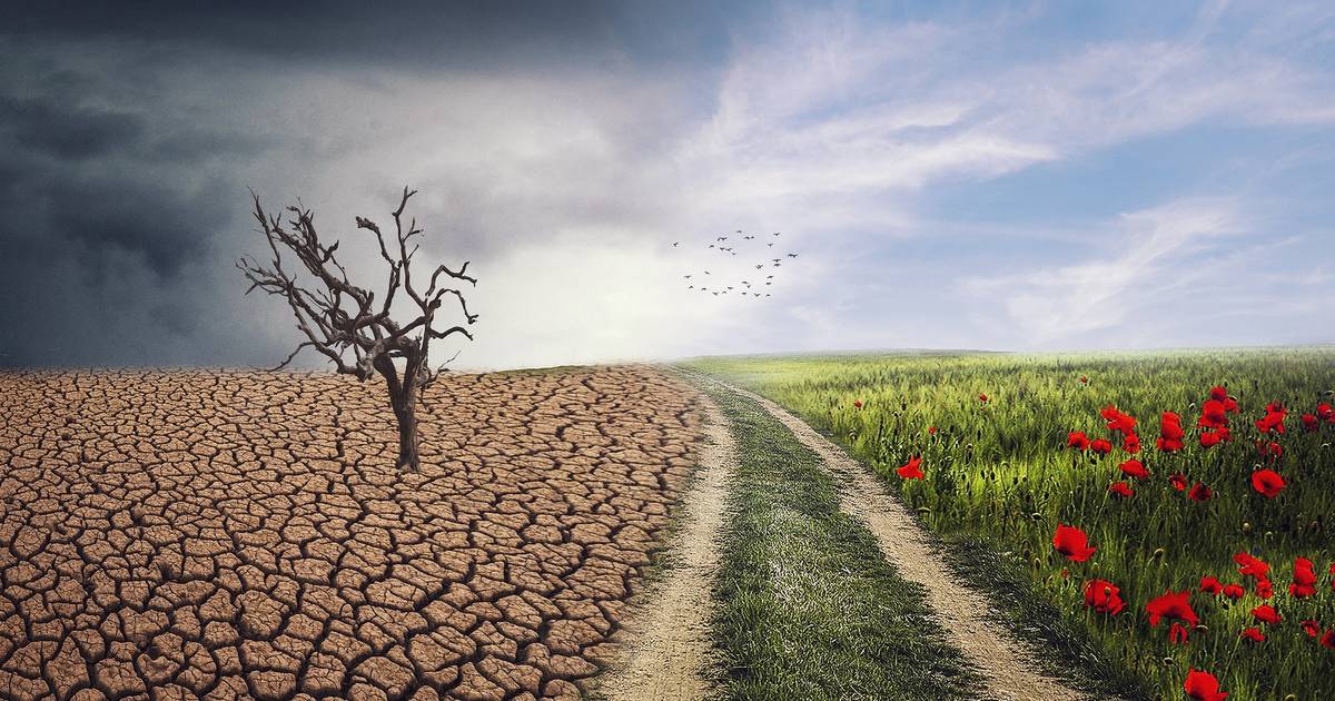 Climate and Climate Change