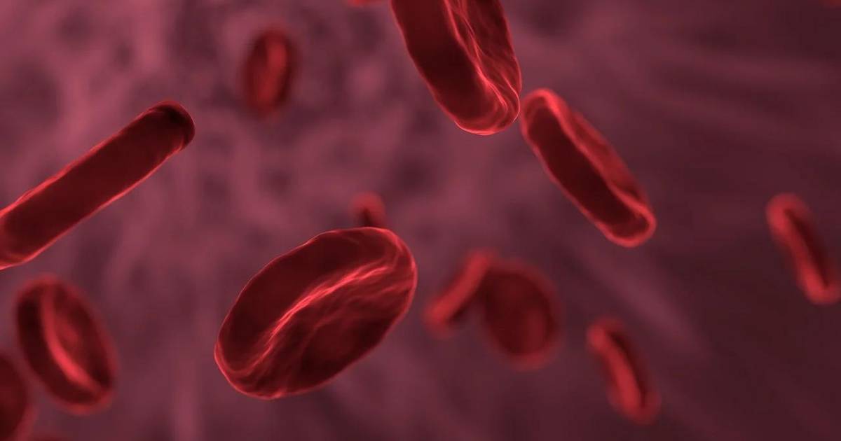 Unit Overview - Intro to Cancer: Leukemia and Hina’s Story