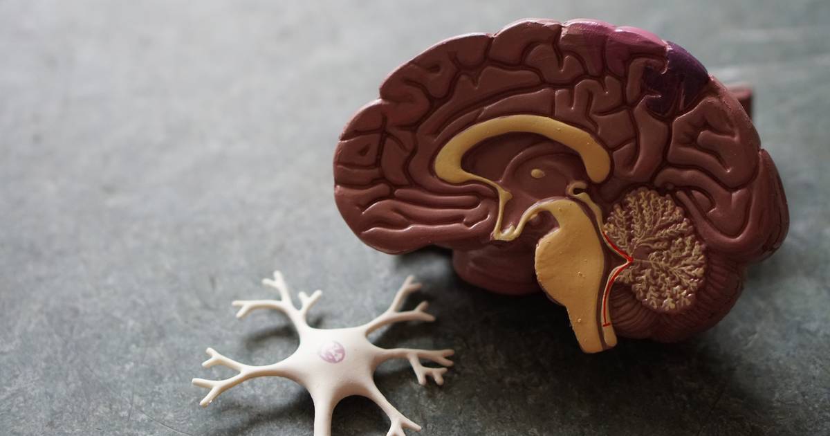Storing Memories in Your Synapses
