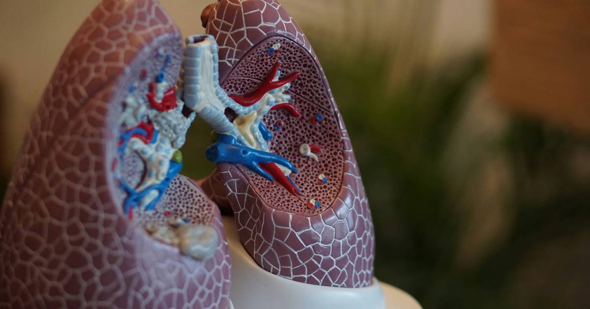 Respiration and Energy in the Human Body