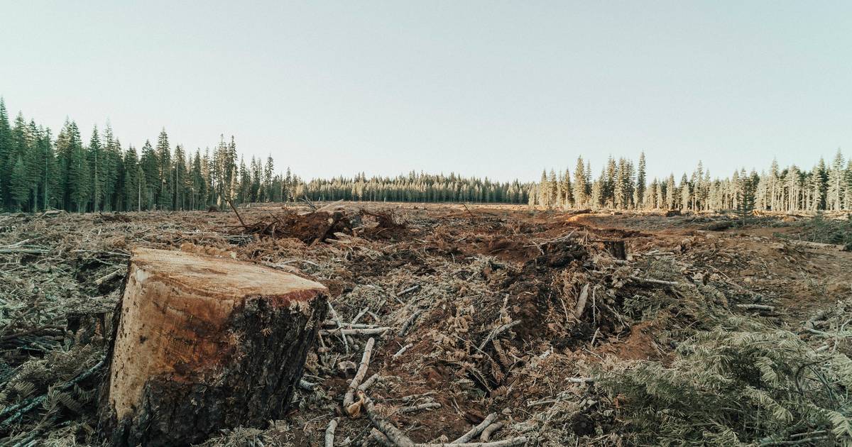 4 Ways GIS Mapping Can Empower Forest Communities in Indonesia